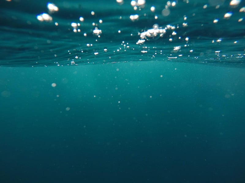 Mermaid Diving Adventures